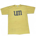 Vintage 70s University of Michigan T-shirt / Large