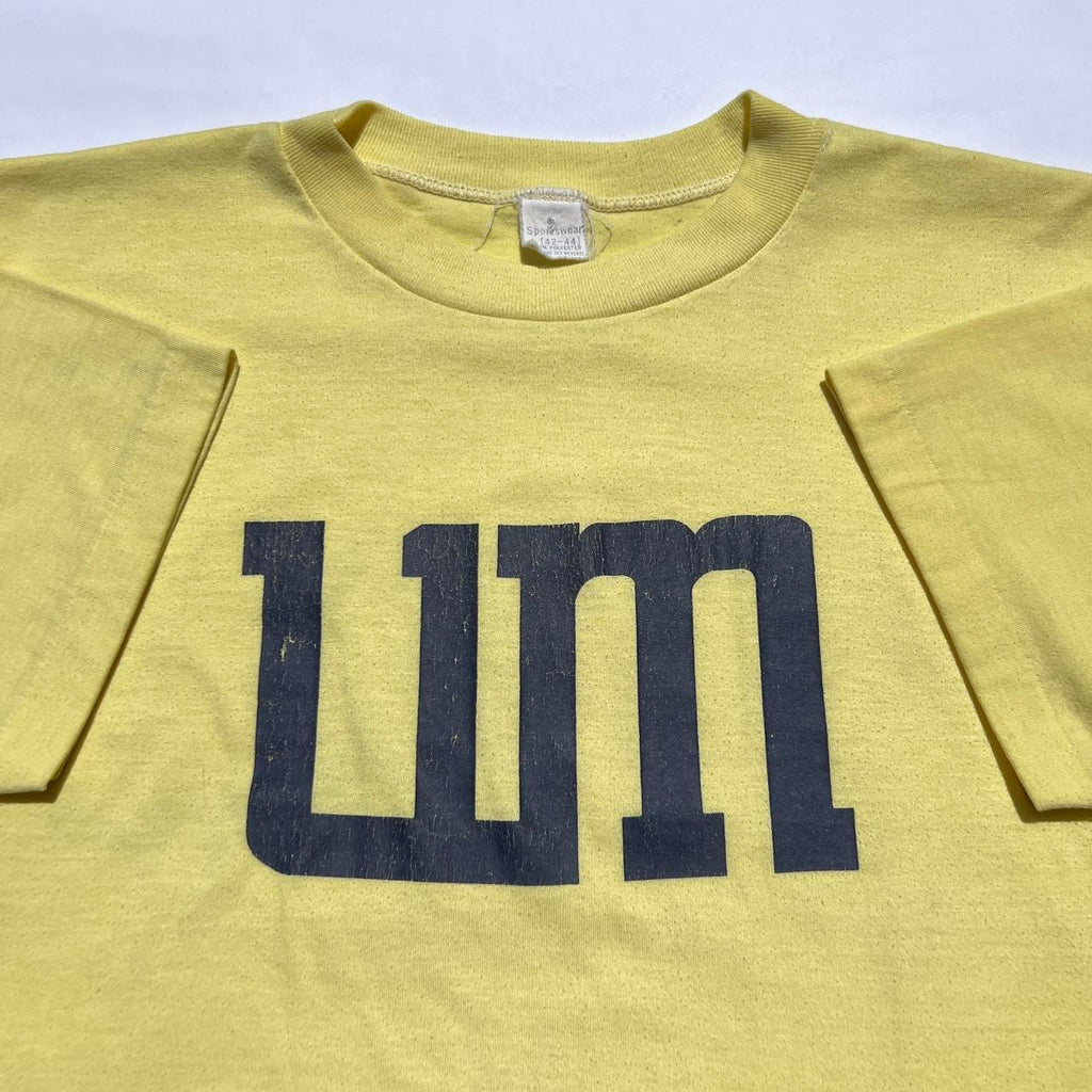 Vintage 70s University of Michigan T-shirt / Large
